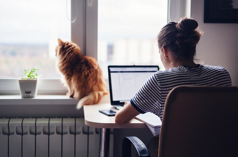 Woman working from home during COVID-19 pandemic with ginger cat in window